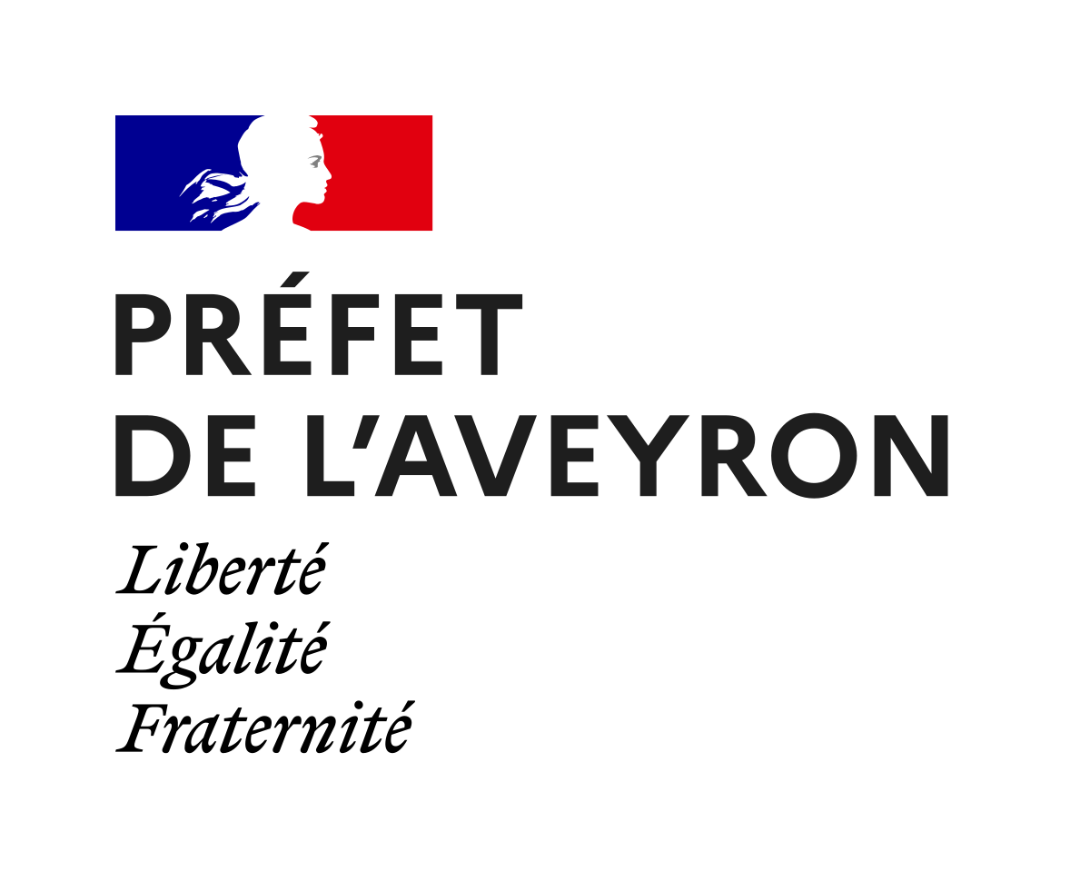 Lire la suite à propos de l’article Elections municipales partielles complémentaires