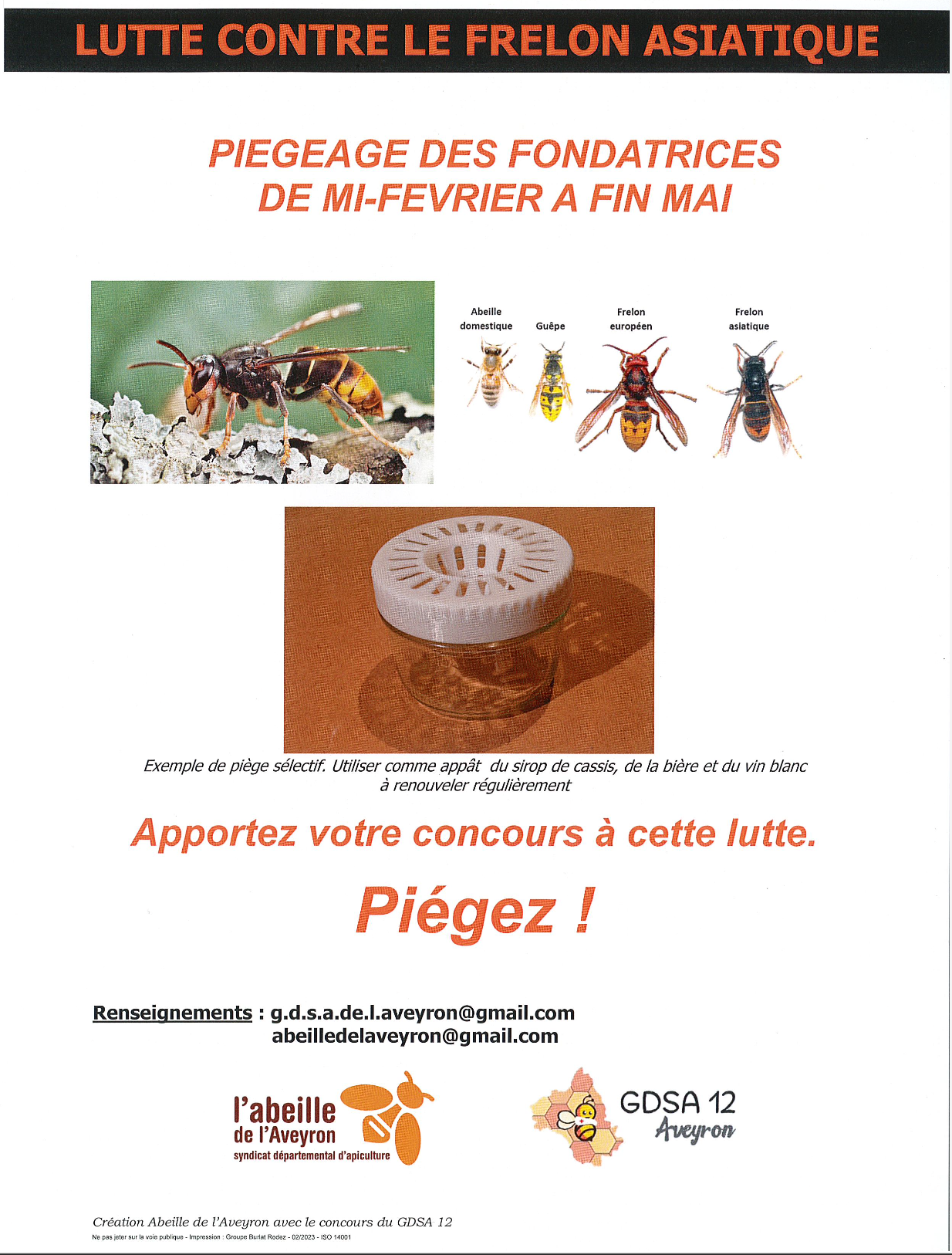Lire la suite à propos de l’article FRELONS ASIATIQUES