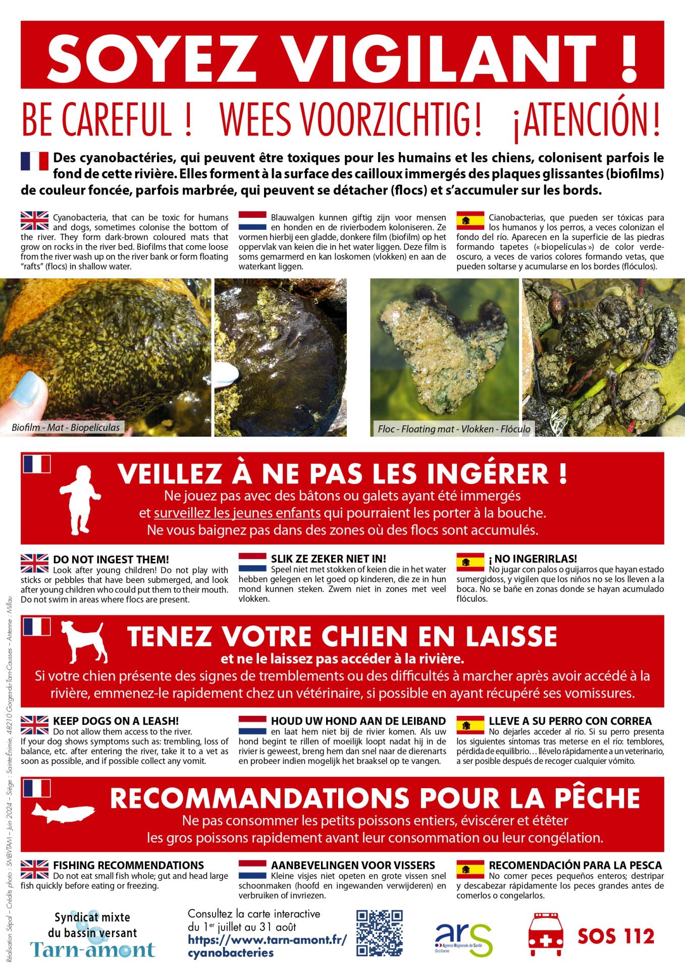 Lire la suite à propos de l’article Cyanobactéries au 21 août 2024