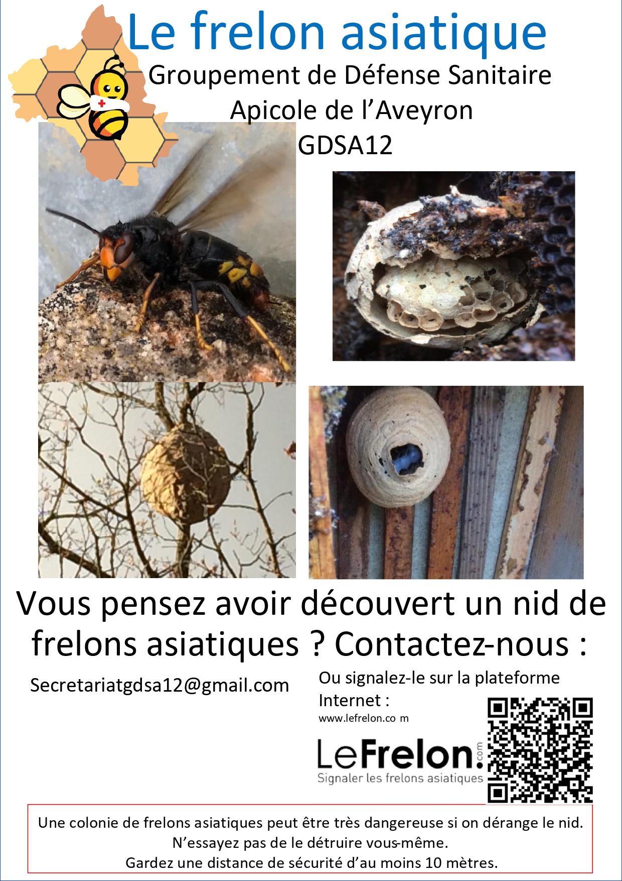 Lire la suite à propos de l’article Infos frelon asiatique